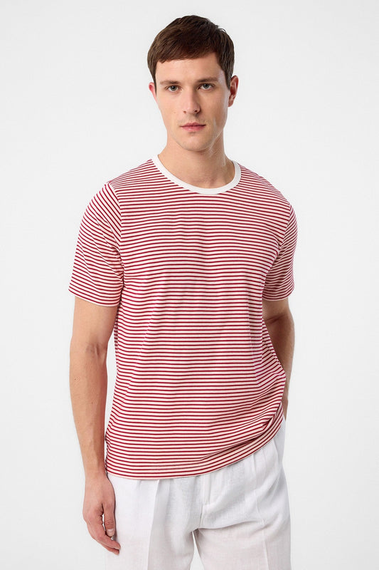 Antioch Regular Fit Striped Men's T-Shirt