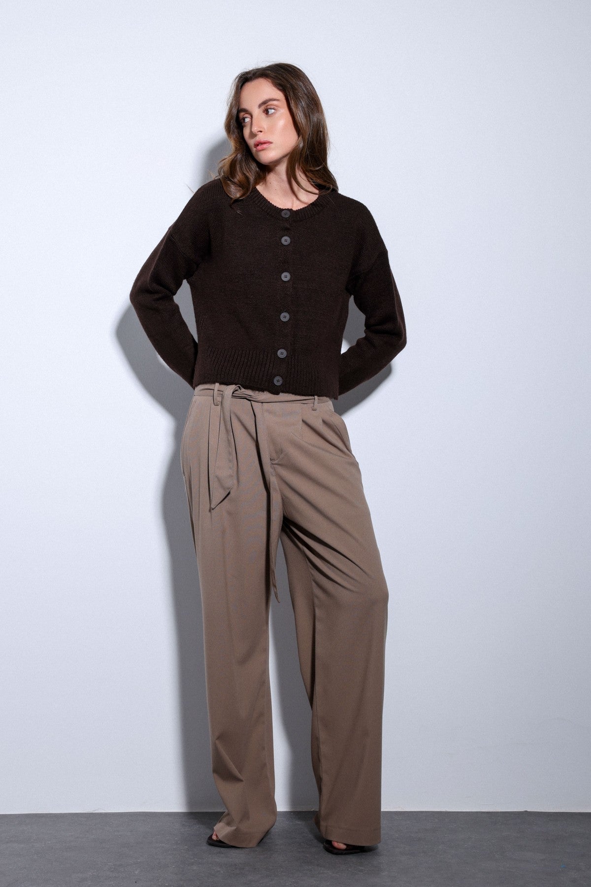 Antioch Arched-Waist Pleated Wide-Leg Women's Pants