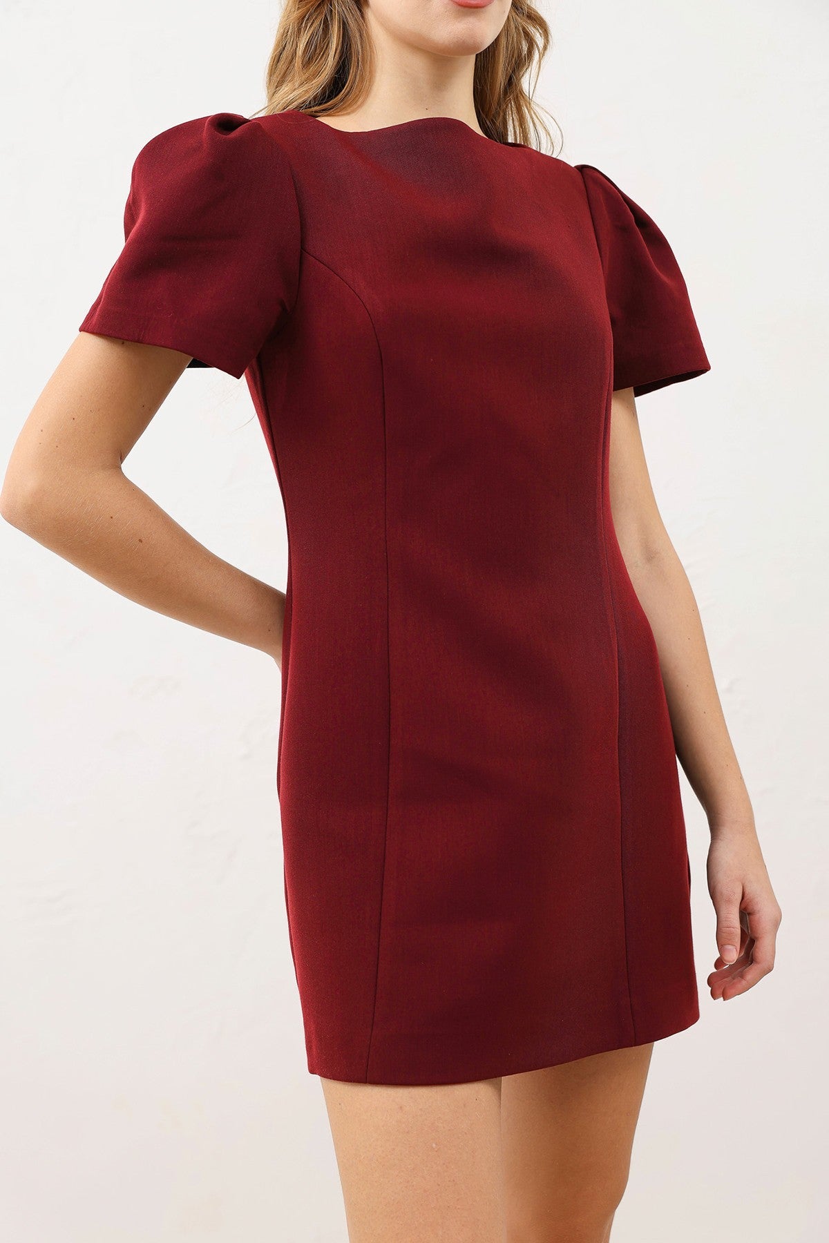 Ruffled Short Women's Dress