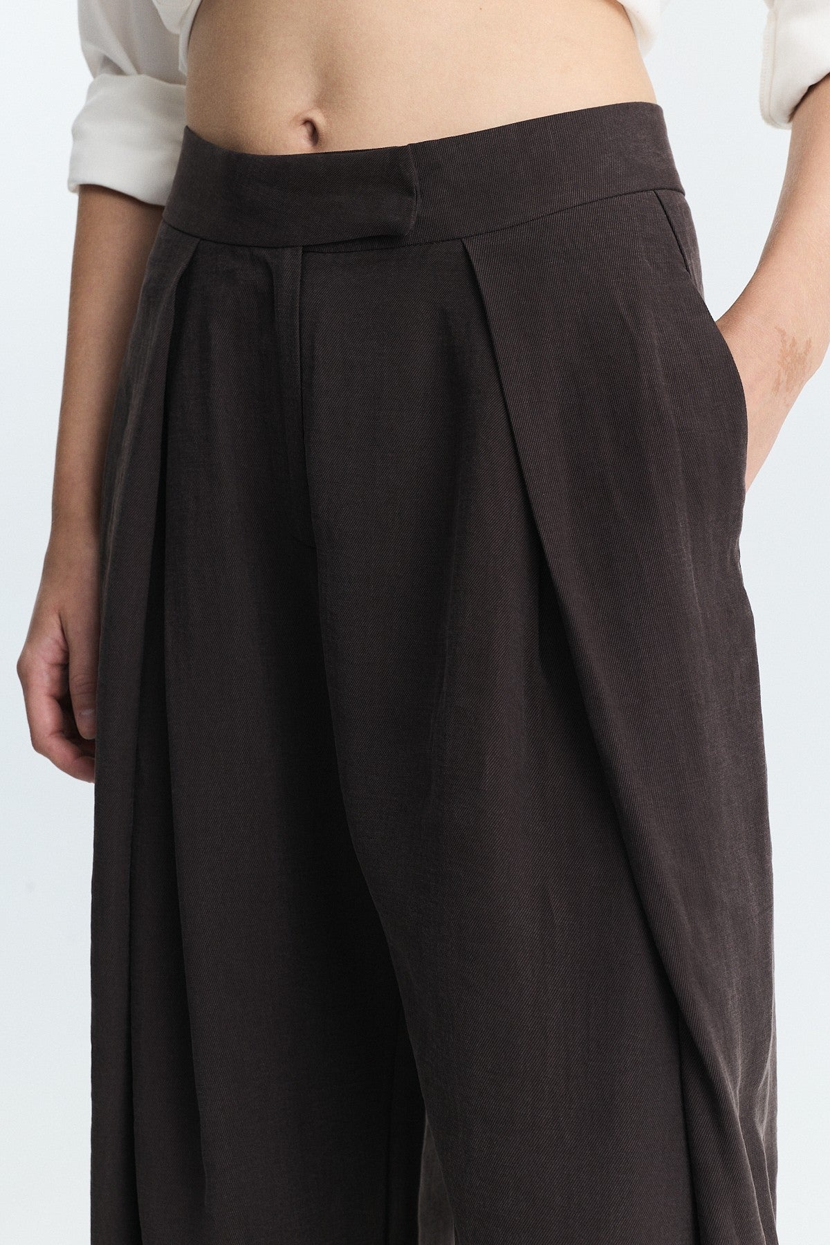 Pleated Wide-Leg Pants